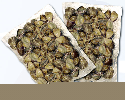 ���������ɫ��